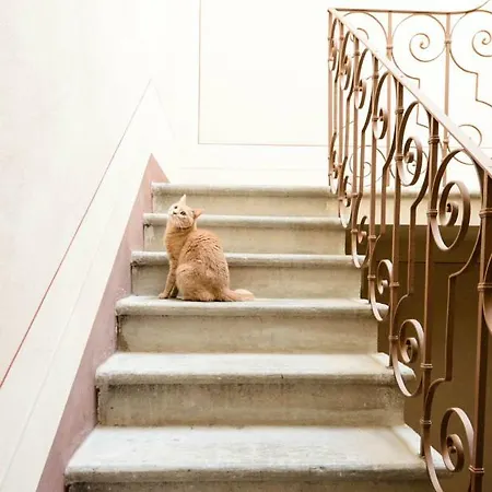 Apartamento Charme Con Parcheggio Lucca